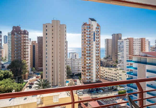 Apartment in Benidorm -  Piscis 10-8 Apartment Levante Beach Apartment in Benidorm -  Piscis 10-8 Apartment Levante Beach