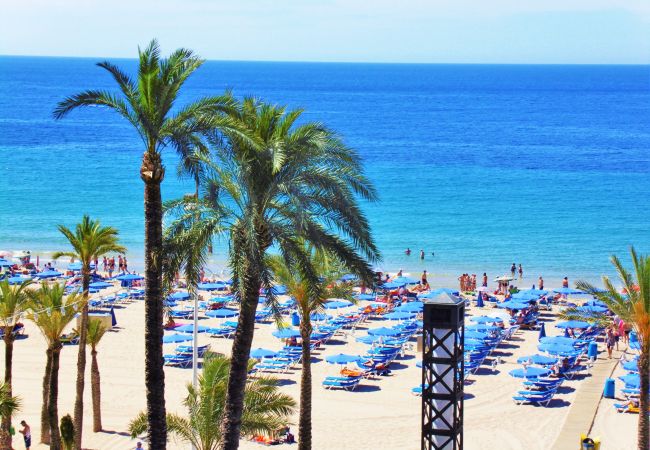 Apartment in Benidorm -  Penthouse Ancla 561 Levante Beach Apartment in Benidorm -  Penthouse Ancla 561 Levante Beach