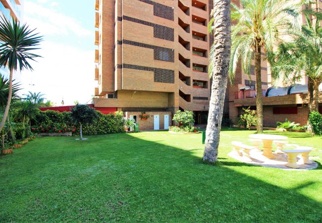 Apartment in Benidorm - Principado Arena 7-B Deluxe Apartment Levante Beach Apartment in Benidorm - Principado Arena 7-B Deluxe Apartment Levante Beach