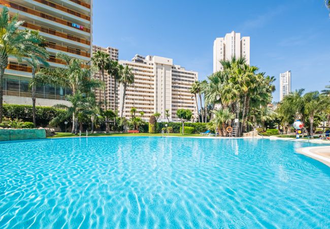 Apartment in Benidorm -  Gemelos 22-3-21D Apartment Deluxe Levante Beach Apartment in Benidorm -  Gemelos 22-3-21D Apartment Deluxe Levante Beach