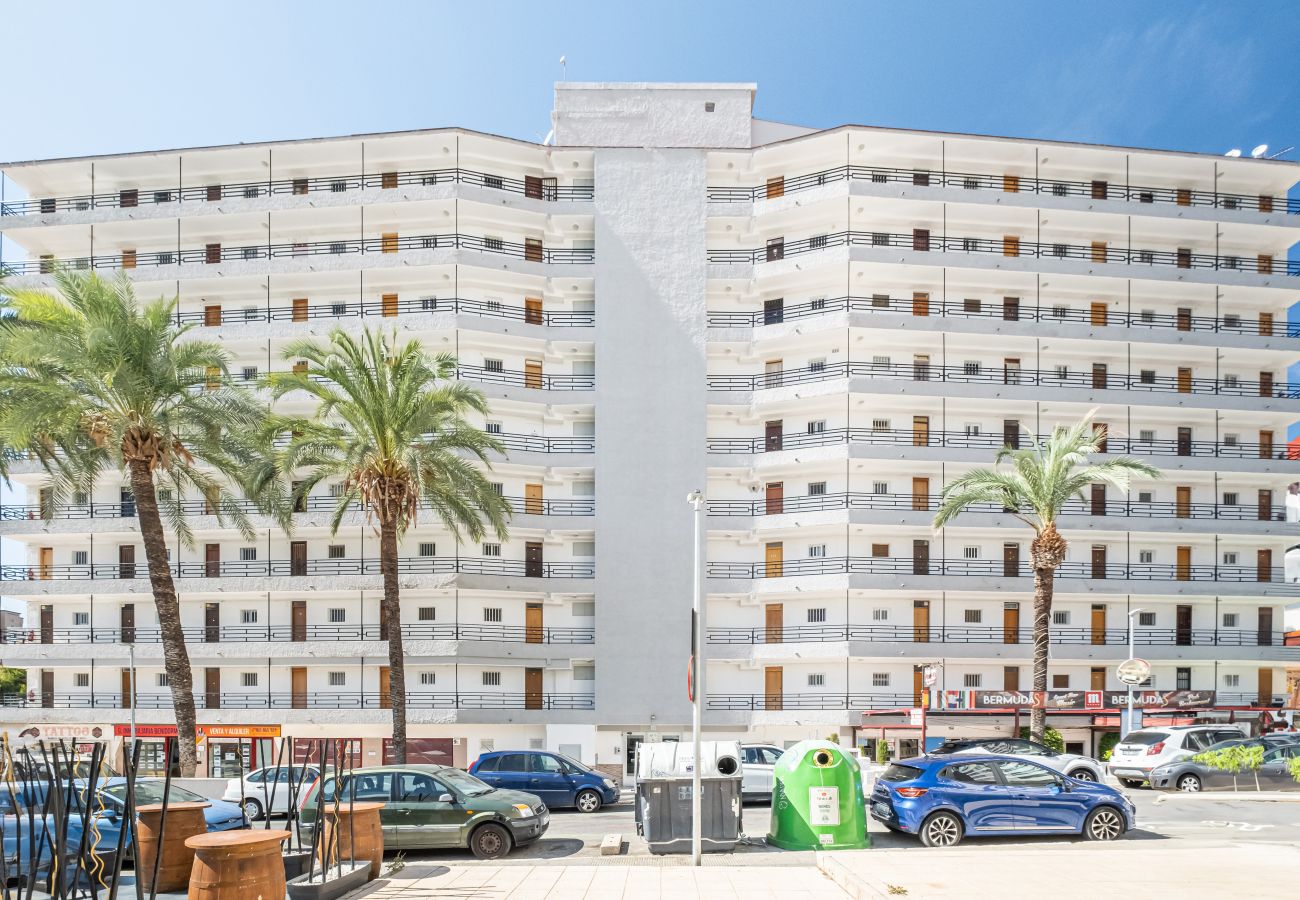 Apartment in Benidorm - Bermudas 401 Apartment Levante-Rincón de Loix Area Apartment in Benidorm - Bermudas 401 Apartment Levante-Rincón de Loix Area