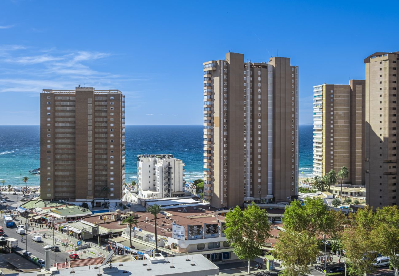 Apartment in Benidorm -  Don Paco 12-B Deluxe Apartment Levante Beach Apartment in Benidorm -  Don Paco 12-B Deluxe Apartment Levante Beach