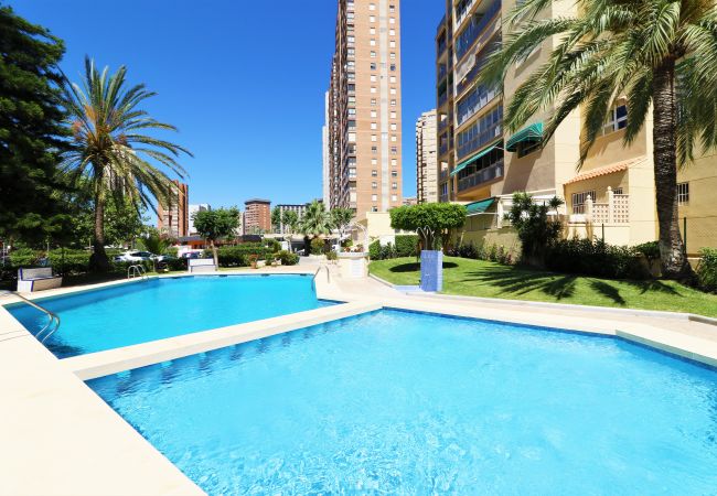 Apartment in Benidorm - Alteanos 16-2 Apartment Levante Beach Apartment in Benidorm - Alteanos 16-2 Apartment Levante Beach