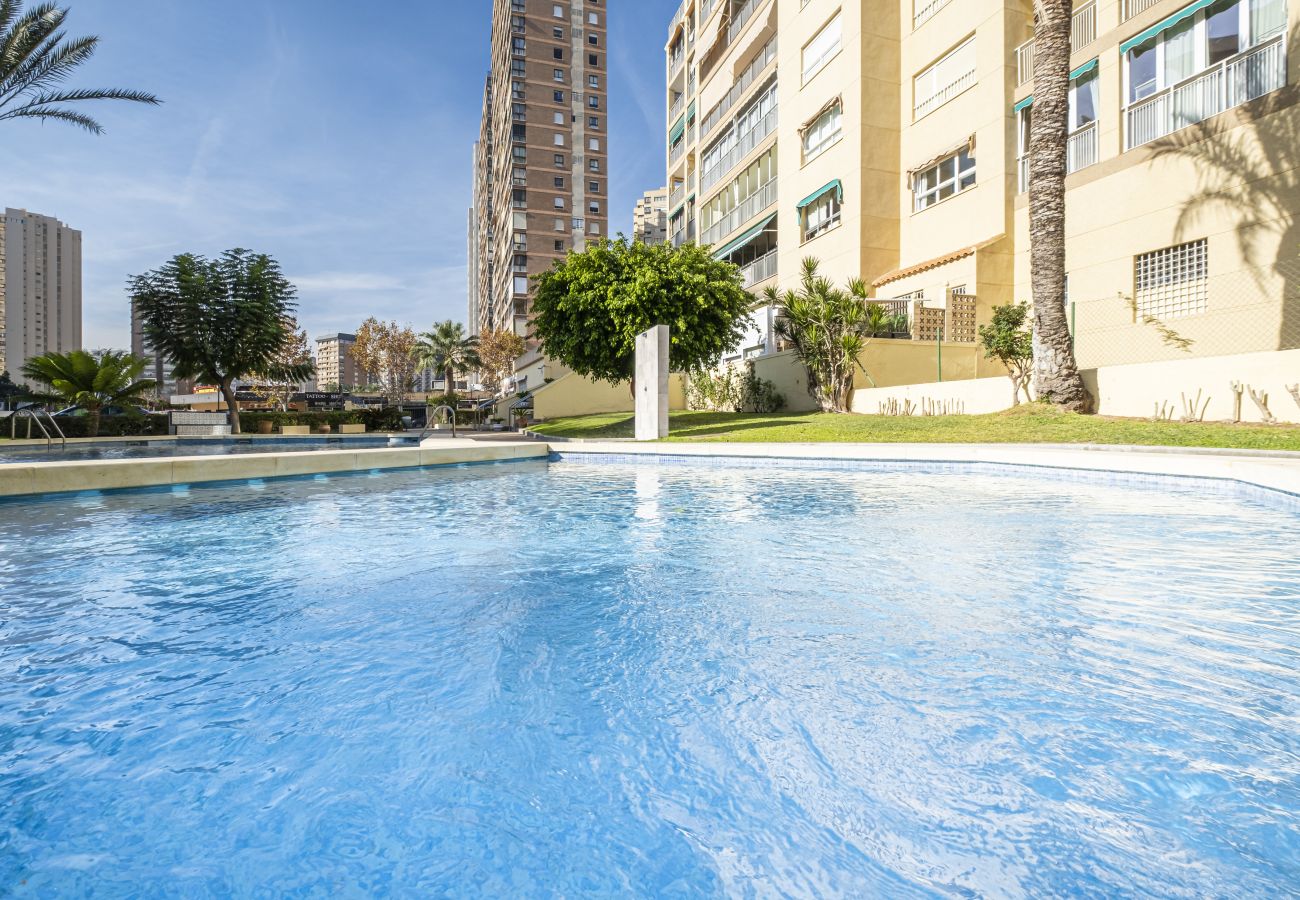 Apartment in Benidorm - Alteanos 16-2 Apartment Levante Beach Apartment in Benidorm - Alteanos 16-2 Apartment Levante Beach