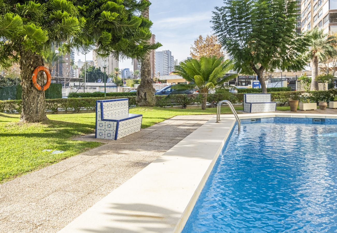 Apartment in Benidorm - Alteanos 16-2 Apartment Levante Beach Apartment in Benidorm - Alteanos 16-2 Apartment Levante Beach