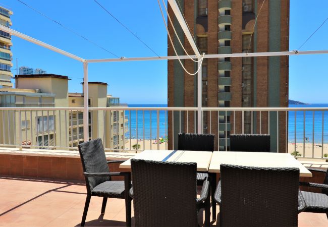 Benidorm - Apartment