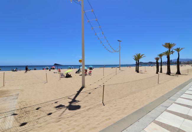 Apartment in Benidorm -  Penthouse El Pato 872 Levante Beach Apartment in Benidorm -  Penthouse El Pato 872 Levante Beach