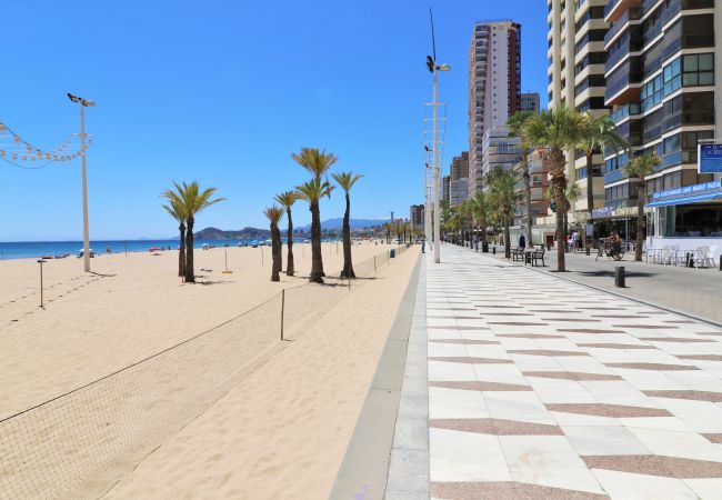 Apartment in Benidorm -  Penthouse El Pato 872 Levante Beach Apartment in Benidorm -  Penthouse El Pato 872 Levante Beach