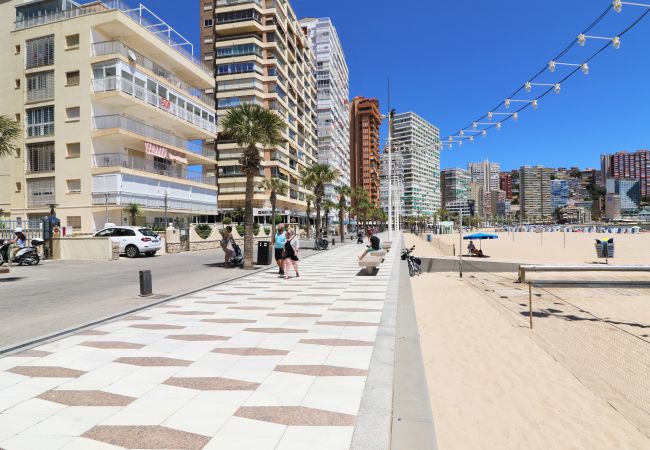 Apartment in Benidorm -  Penthouse El Pato 872 Levante Beach Apartment in Benidorm -  Penthouse El Pato 872 Levante Beach