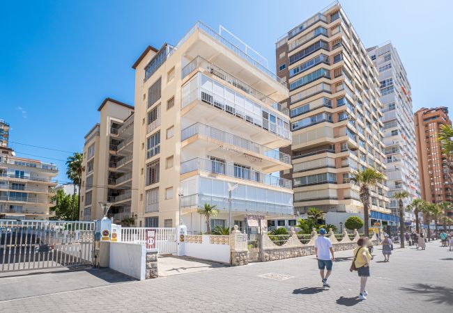 Apartment in Benidorm -  Penthouse El Pato 872 Levante Beach Apartment in Benidorm -  Penthouse El Pato 872 Levante Beach