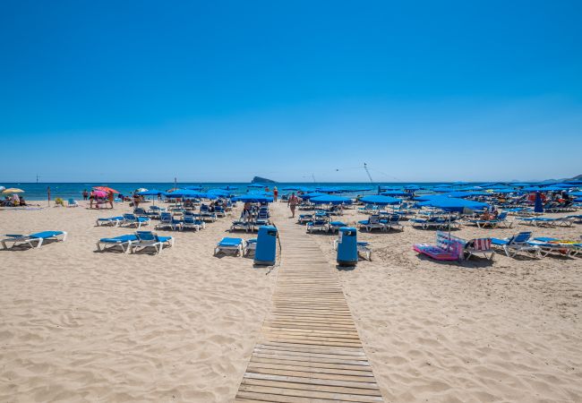 Apartment in Benidorm -  Penthouse El Pato 872 Levante Beach Apartment in Benidorm -  Penthouse El Pato 872 Levante Beach