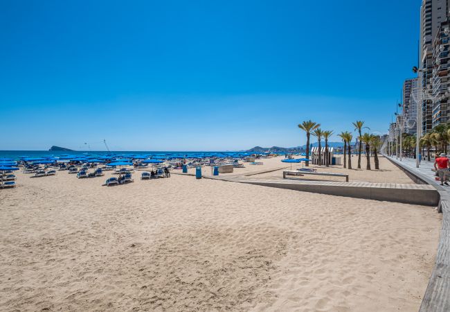 Apartment in Benidorm -  Penthouse El Pato 872 Levante Beach Apartment in Benidorm -  Penthouse El Pato 872 Levante Beach