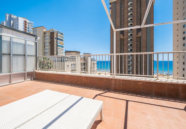 Apartment in Benidorm -  Penthouse El Pato 872 Levante Beach Apartment in Benidorm -  Penthouse El Pato 872 Levante Beach