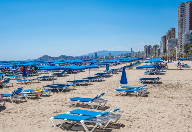 Apartment in Benidorm -  Penthouse El Pato 872 Levante Beach Apartment in Benidorm -  Penthouse El Pato 872 Levante Beach