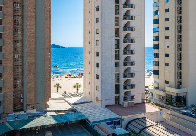 Apartment in Benidorm -  Penthouse El Pato 872 Levante Beach Apartment in Benidorm -  Penthouse El Pato 872 Levante Beach