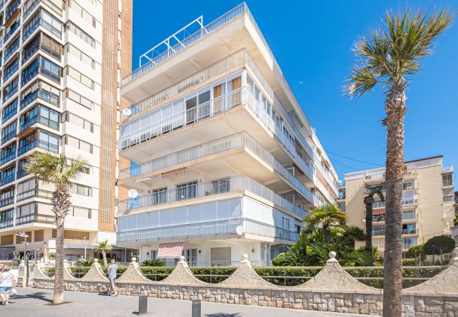 Apartment in Benidorm -  Penthouse El Pato 872 Levante Beach Apartment in Benidorm -  Penthouse El Pato 872 Levante Beach