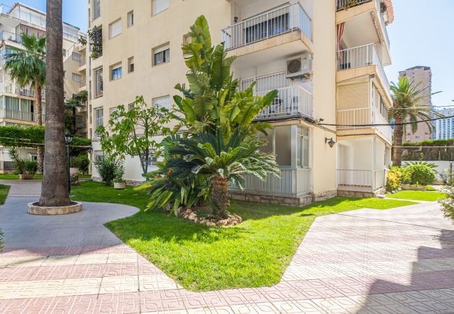 Apartment in Benidorm -  Penthouse El Pato 872 Levante Beach Apartment in Benidorm -  Penthouse El Pato 872 Levante Beach