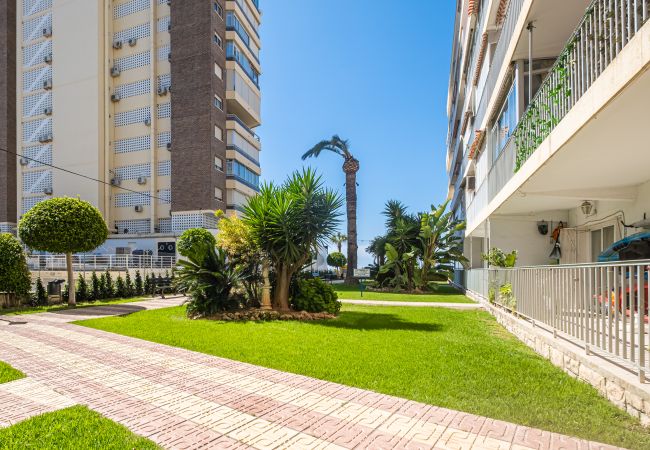 Apartment in Benidorm -  Penthouse El Pato 872 Levante Beach Apartment in Benidorm -  Penthouse El Pato 872 Levante Beach