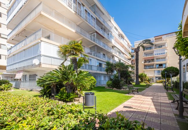 Apartment in Benidorm -  Penthouse El Pato 872 Levante Beach Apartment in Benidorm -  Penthouse El Pato 872 Levante Beach