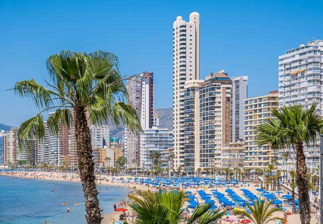 Apartment in Benidorm -  Penthouse El Pato 872 Levante Beach Apartment in Benidorm -  Penthouse El Pato 872 Levante Beach