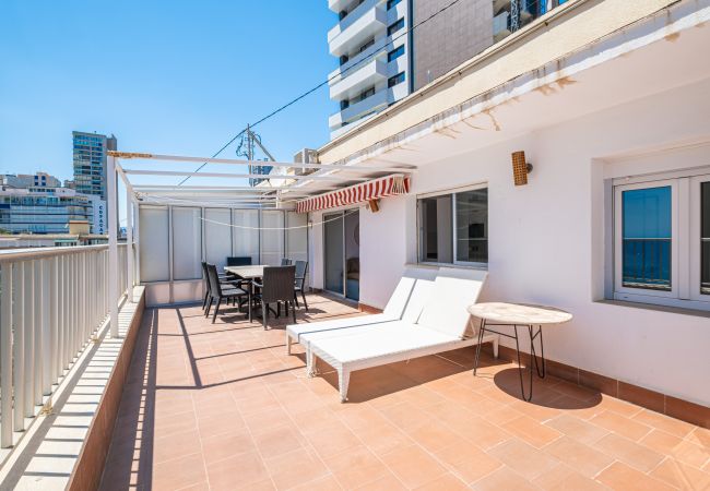 Apartment in Benidorm -  Penthouse El Pato 872 Levante Beach Apartment in Benidorm -  Penthouse El Pato 872 Levante Beach