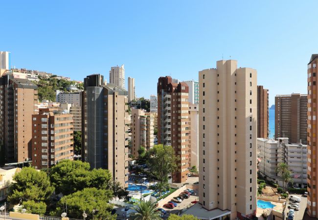 Apartment in Benidorm - Piscis 12-2 Apartment in Benidorm - Piscis 12-2
