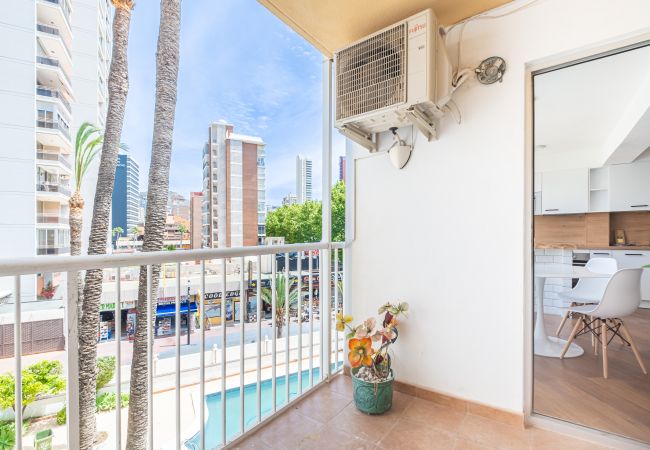 Apartment in Benidorm - El Junco 4-5 Apartment Levante Beach Apartment in Benidorm - El Junco 4-5 Apartment Levante Beach