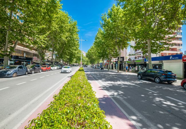Apartment in Benidorm - El Junco 4-5 Apartment Levante Beach Apartment in Benidorm - El Junco 4-5 Apartment Levante Beach