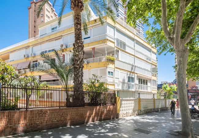 Apartment in Benidorm - El Junco 4-5 Apartment Levante Beach Apartment in Benidorm - El Junco 4-5 Apartment Levante Beach