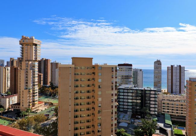 Studio in Benidorm - Penthouse Cervantes Sea View Levante Beach Studio in Benidorm - Penthouse Cervantes Sea View Levante Beach