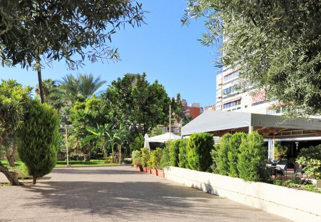 Studio in Benidorm - Penthouse Cervantes Sea View Levante Beach Studio in Benidorm - Penthouse Cervantes Sea View Levante Beach