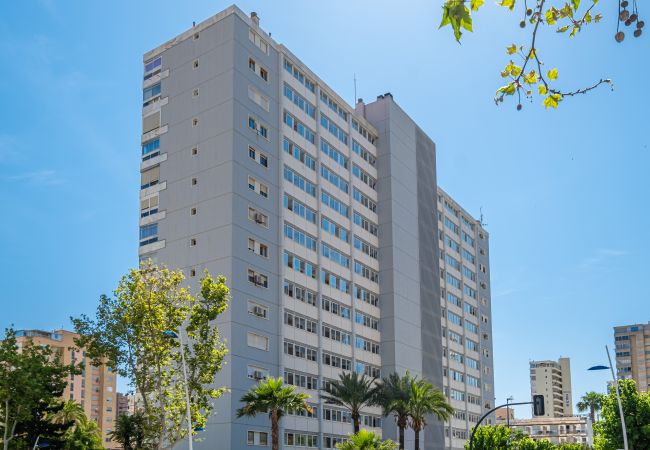 Studio in Benidorm - Penthouse Cervantes Sea View Levante Beach Studio in Benidorm - Penthouse Cervantes Sea View Levante Beach