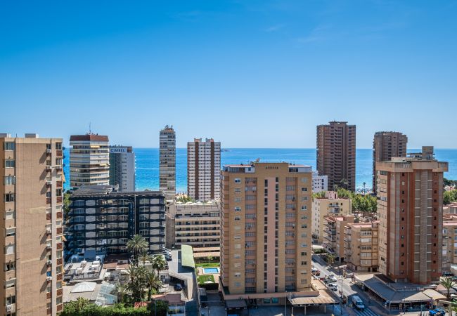 Studio in Benidorm - Penthouse Cervantes Sea View Levante Beach Studio in Benidorm - Penthouse Cervantes Sea View Levante Beach