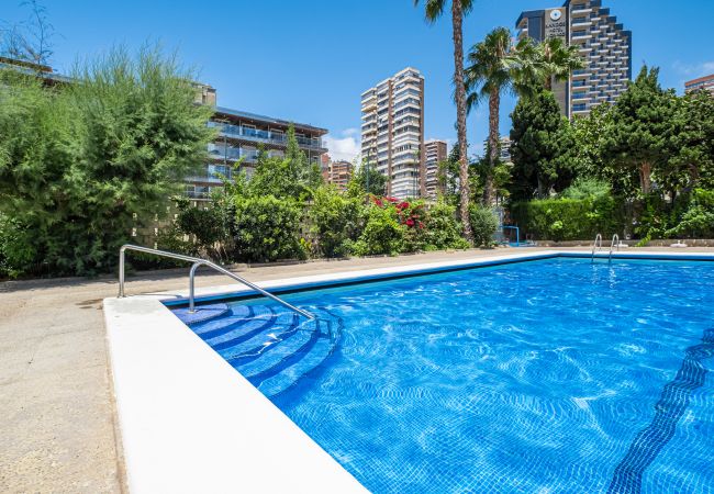 Studio in Benidorm - Penthouse Cervantes Sea View Levante Beach Studio in Benidorm - Penthouse Cervantes Sea View Levante Beach