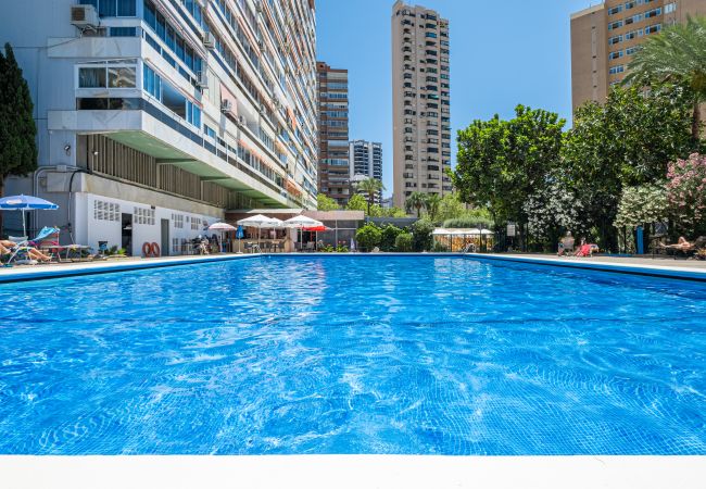 Studio in Benidorm - Penthouse Cervantes Sea View Levante Beach Studio in Benidorm - Penthouse Cervantes Sea View Levante Beach