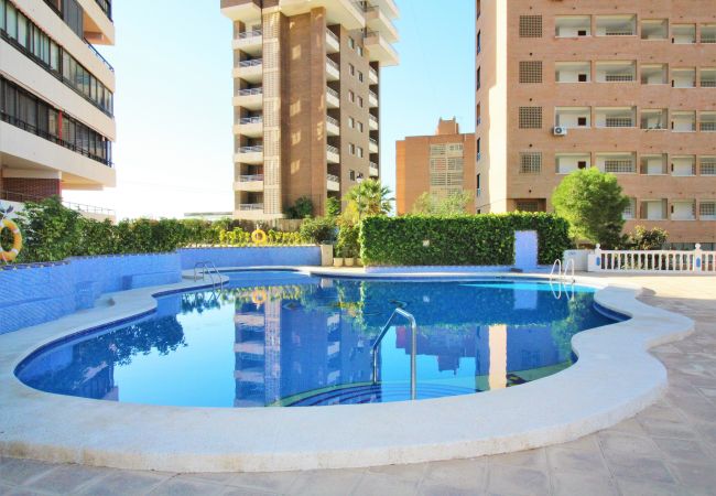 Apartment in Benidorm - Trinisol Seaviews 24E Apartment in Benidorm - Trinisol Seaviews 24E