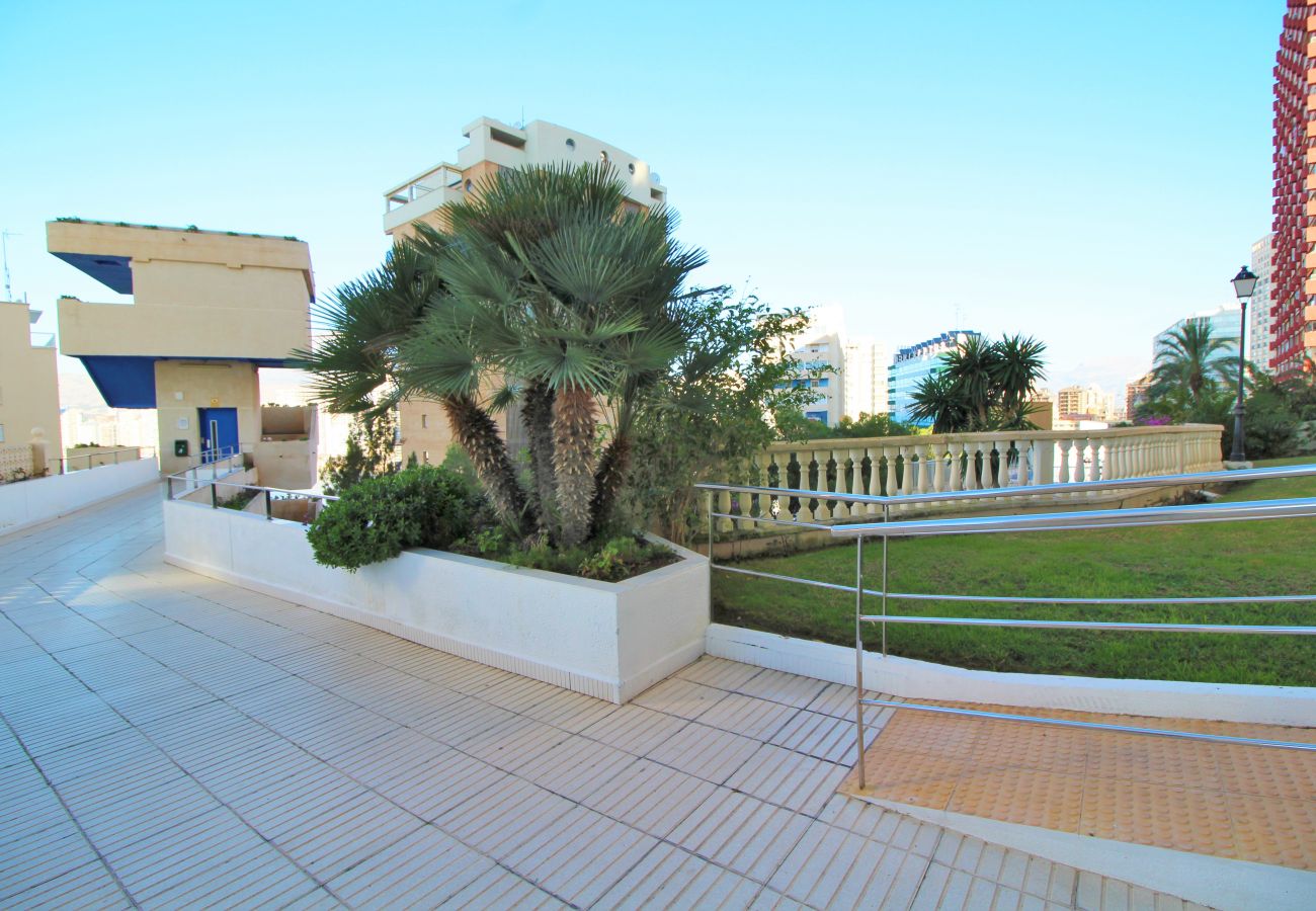 Apartment in Benidorm - Trinisol Seaviews 24E Apartment in Benidorm - Trinisol Seaviews 24E