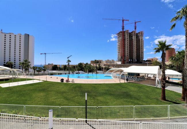 Apartment in Benidorm - Sunset Waves 1-190 Apartment in Benidorm - Sunset Waves 1-190