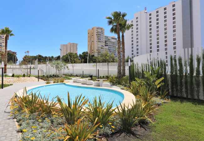 Apartment in Benidorm - Sunset Waves 1-190 Apartment in Benidorm - Sunset Waves 1-190