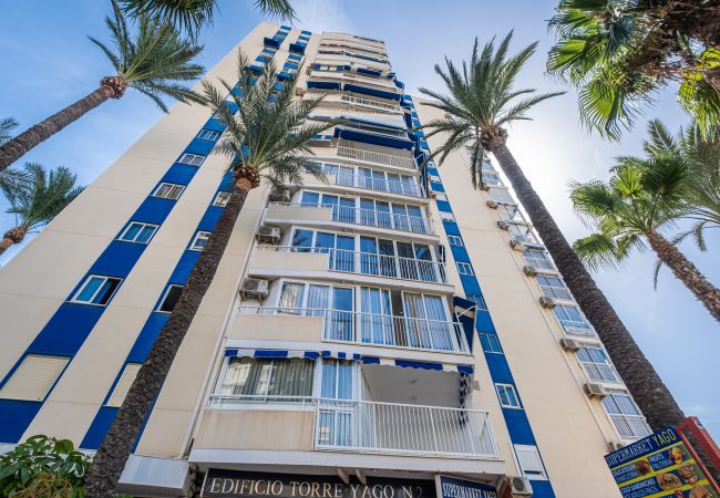 Apartment in Benidorm - Torre Yago Deluxe 1-2 Levante Beach Apartment in Benidorm - Torre Yago Deluxe 1-2 Levante Beach