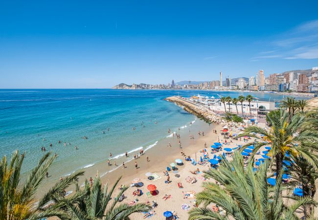Aparthotel in Benidorm - Apartamentos La Rosita Old Town M-9 Aparthotel in Benidorm - Apartamentos La Rosita Old Town M-9