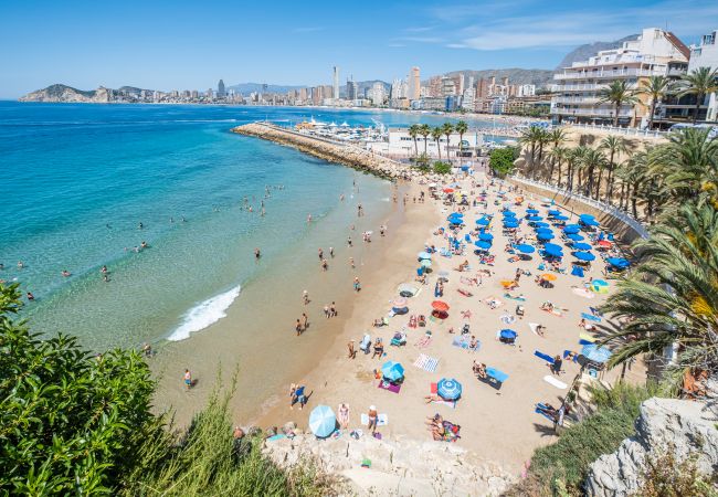 Aparthotel in Benidorm - Apartamentos La Rosita Old Town M-9 Aparthotel in Benidorm - Apartamentos La Rosita Old Town M-9