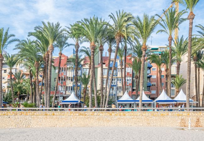 Aparthotel in Benidorm - Apartamentos La Rosita Old Town M-9 Aparthotel in Benidorm - Apartamentos La Rosita Old Town M-9