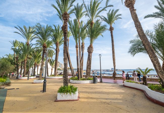 Aparthotel in Benidorm - Apartamentos La Rosita Old Town M-9 Aparthotel in Benidorm - Apartamentos La Rosita Old Town M-9