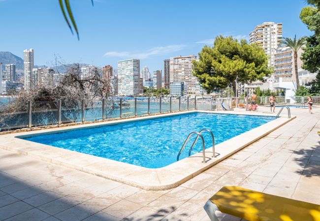 Apartment in Benidorm -  Paraiso Lido Sea Views 1-D Levante Beach Apartment in Benidorm -  Paraiso Lido Sea Views 1-D Levante Beach