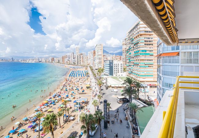 Apartment in Benidorm - Don Miguel Apartment Deluxe 7-A Levante Beach Apartment in Benidorm - Don Miguel Apartment Deluxe 7-A Levante Beach