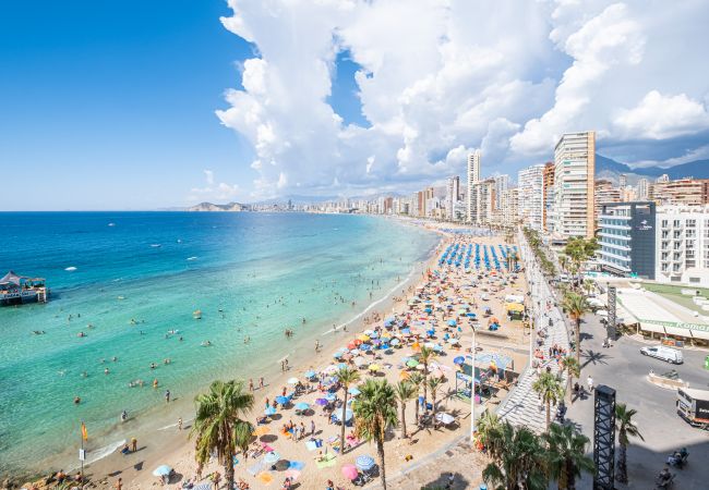 Apartment in Benidorm - Don Miguel Apartment Deluxe 7-A Levante Beach Apartment in Benidorm - Don Miguel Apartment Deluxe 7-A Levante Beach