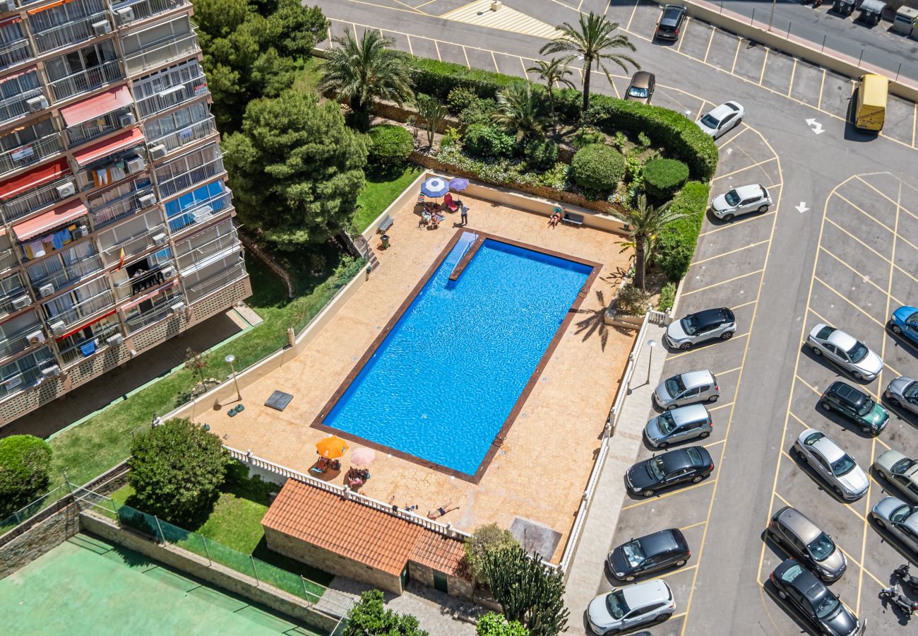 Apartment in Benidorm - Don Miguel Apartment Deluxe 7-A Levante Beach Apartment in Benidorm - Don Miguel Apartment Deluxe 7-A Levante Beach