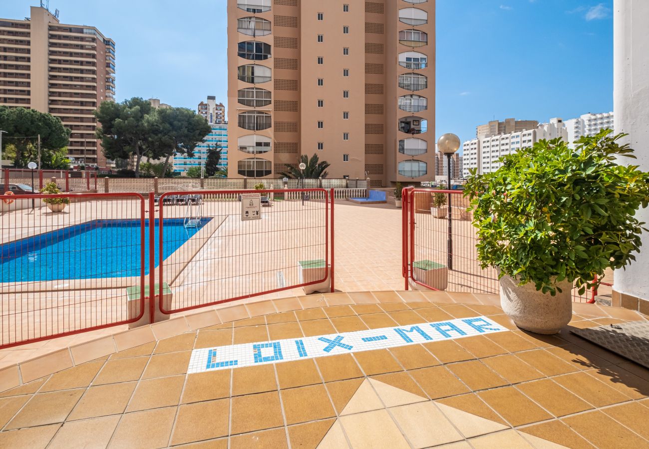 Apartment in Benidorm - Loix Mar Apartment 1-C Levante Beach Apartment in Benidorm - Loix Mar Apartment 1-C Levante Beach