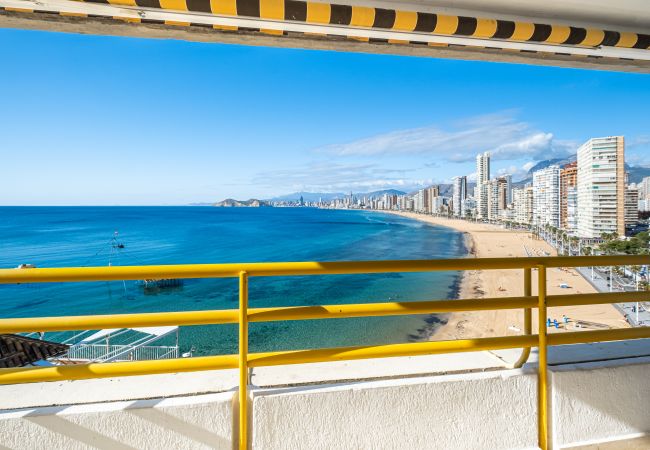 Apartment in Benidorm - Don Miguel Apartment 8-C Levante Beach